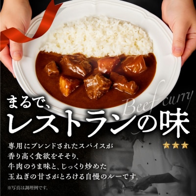 北海道産牛肉のビーフカレー16食セット_hs489-005