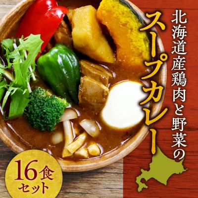 北海道産鶏肉と野菜のスープカレー16食セット_hs489-006