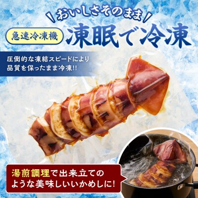 凍眠ジャンボいかめし_hs027-058