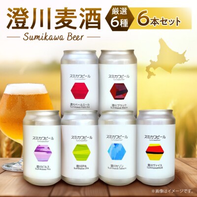 澄川麦酒厳選6本セット_hs466-002