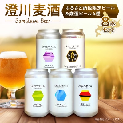 【先行予約】澄川麦酒ふるさと納税限定ビール4本+厳選4本　8本セット_hs466-006