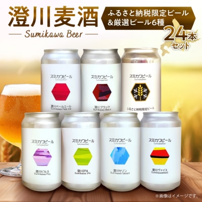 【先行予約】澄川麦酒ふるさと納税限定ビール12本+厳選12本　24本セット_hs466-008