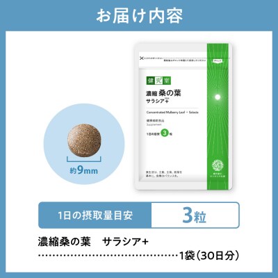 濃縮桑の葉　サラシア+_hs456-019