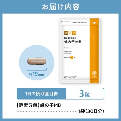 【酵素分解】蜂の子MB_hs456-024