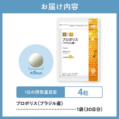 プロポリス(ブラジル産)_hs456-032