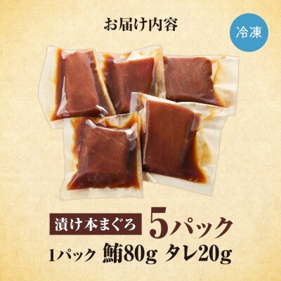 漬け本まぐろ 100g×5パック | マグロ 海鮮 丼 北海道 札幌市_hs027-065