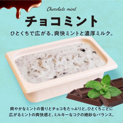 951アイスクリーム　バルクアイス2L×1個(チョコミント)_hs359-041