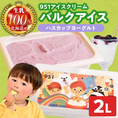 951アイスクリーム　バルクアイス2L×1個(ハスカップヨーグルト)_hs359-043