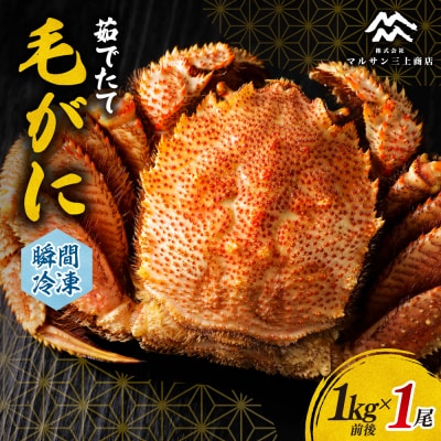 茹でたて毛がに(瞬間冷凍)1kg前後_hs067-014