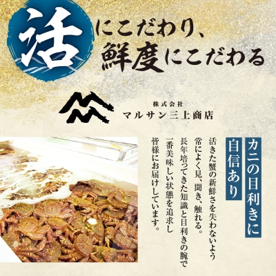 茹でたて毛がに(瞬間冷凍)1kg前後_hs067-014