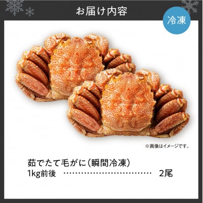 茹でたて毛がに(瞬間冷凍)1kg前後×2尾_hs067-015