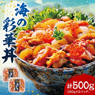 海の彩華丼_hs145-121