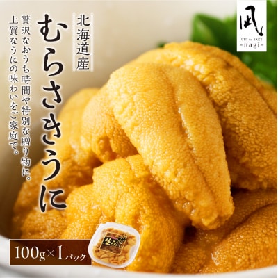 【先行受付】《北海道産》ムラサキウニ 塩水 100g＜札幌カネシン水産＞_hs017-750