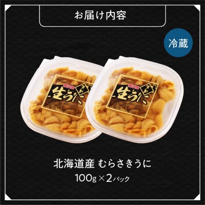 【先行受付】《北海道産》ムラサキウニ 塩水100g×2パック＜札幌カネシン水産＞_hs017-751