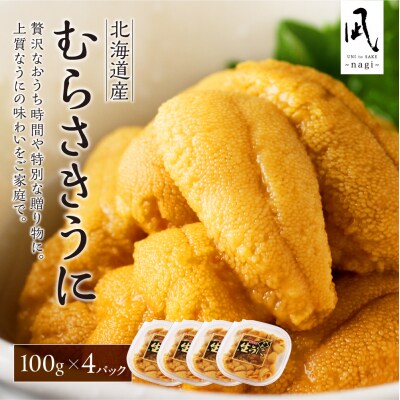 【先行受付】《北海道産》ムラサキウニ 塩水100g×4パック＜札幌カネシン水産＞_hs017-752