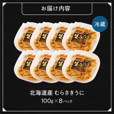 【先行予約】《北海道産》ムラサキウニ 塩水100g×8パック<札幌カネシン水産>_hs017-753