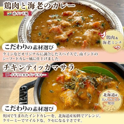 世界洋食3種セット 各2P_hs326-032