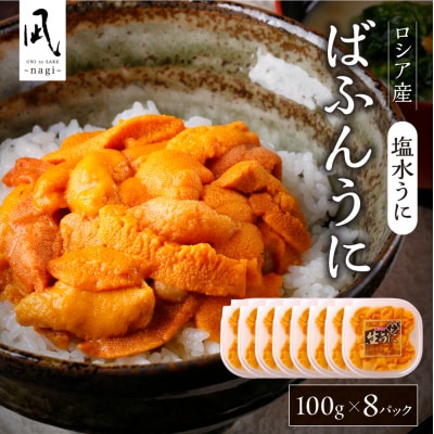 《ロシア産》バフンウニ 塩水うに100g×8<札幌カネシン水産>_hs017-796
