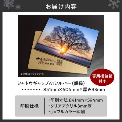 UVアクリルフォトパネルA1額装セット(シャドウギャップシルバー)_hs449-002