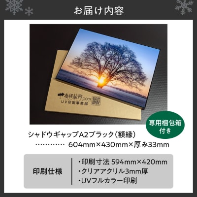 UVアクリルフォトパネルA2額装セット(シャドウギャップブラック)_hs449-003
