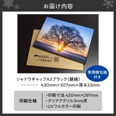 UVアクリルフォトパネルA3額装セット(シャドウギャップブラック)_hs449-005
