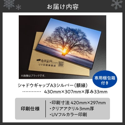 UVアクリルフォトパネルA3額装セット(シャドウギャップシルバー)_hs449-006