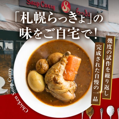 札幌らっきょオリジナル　レトルトチキン スープカレー(560g×2個セット)_hs145-173