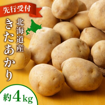 【先行受付】じゃがいも(きたあかり)約4kg_hs504-002