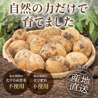 じゃがいも(きたあかり)約4kg_hs504-002