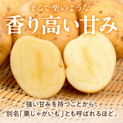 じゃがいも(きたあかり)約4kg_hs504-002