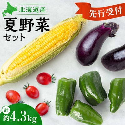 【先行受付】夏野菜セット_hs504-004