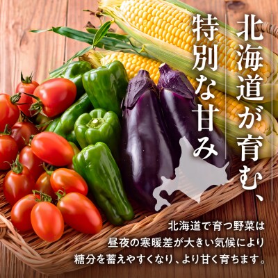 夏野菜セット_hs504-004