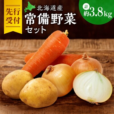 【先行受付】常備野菜セット_hs504-003