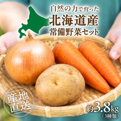常備野菜セット_hs504-003