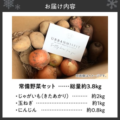 常備野菜セット_hs504-003