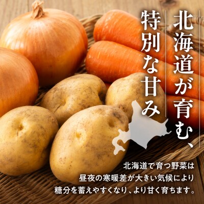 常備野菜セット_hs504-003
