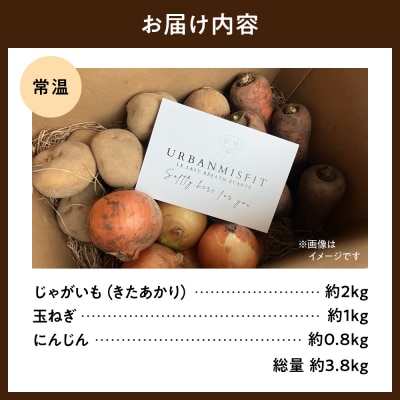 常備野菜セット_hs504-003
