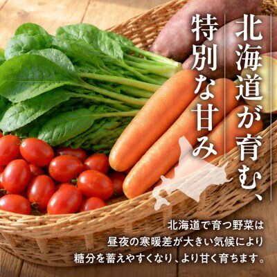 スムージー用野菜セット_hs504-005