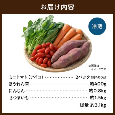 スムージー用野菜セット_hs504-005