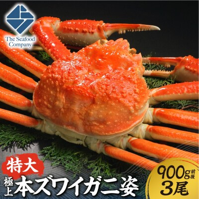 極上!特大本ズワイ蟹の姿　本ズワイ蟹　900g　3尾_hs408-088