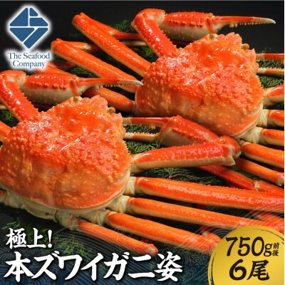 極上!本ズワイ蟹の姿　750g　6尾_hs408-092