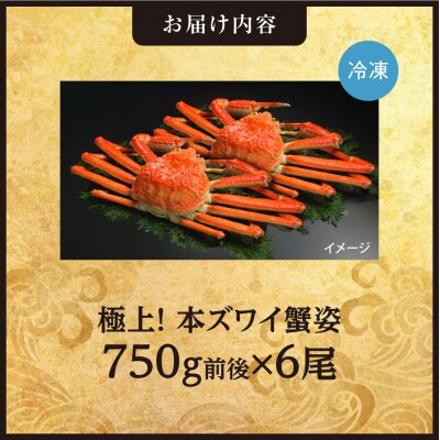 極上!本ズワイ蟹の姿　750g　6尾_hs408-092