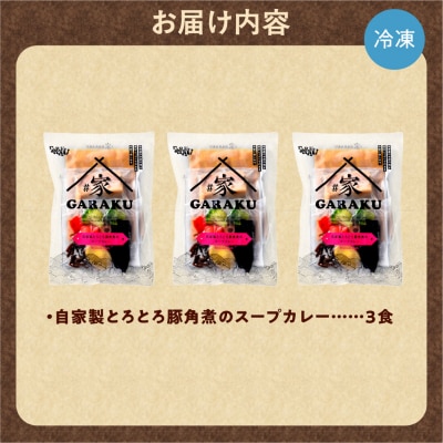 家GARAKU 自家製とろとろ豚角煮のスープカレー_hs358-004