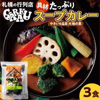 家GARAKU やさい9品目大地の恵スープカレー_hs358-005