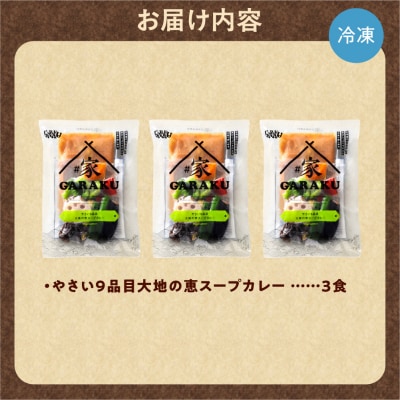 家GARAKU やさい9品目大地の恵スープカレー_hs358-005