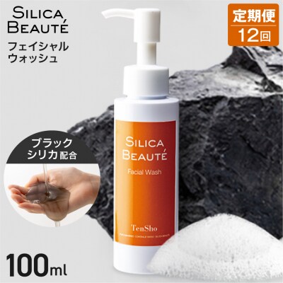 【12ヶ月定期便】シリカボーテ　フェイシャルウォッシュ100mL_hs523-010