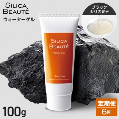 【6ヶ月定期便】シリカボーテ　ウォーターゲル100g_hs523-017