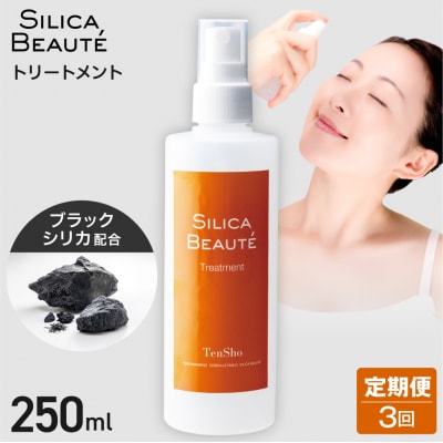 【3ヶ月定期便】シリカボーテ　トリートメント250mL_hs523-021