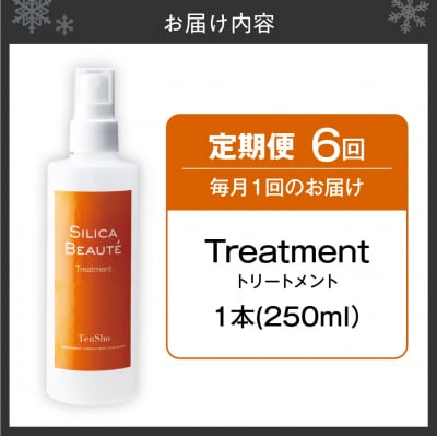 【6ヶ月定期便】シリカボーテ　トリートメント250mL_hs523-022