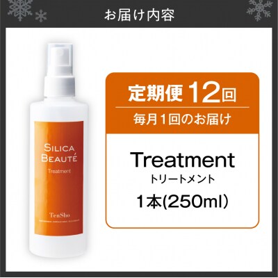 【12ヶ月定期便】シリカボーテ　トリートメント250mL_hs523-023